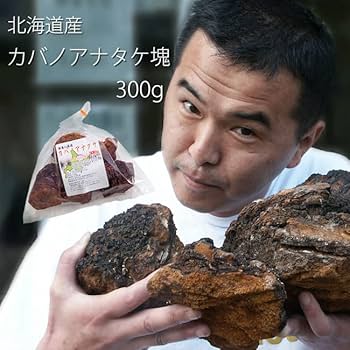 北海道産カバノアナタケ「チャーガ」5キロ‼️ 北海道産カバノアナタケ「チャーガ」5キロ‼️ - メルカリ